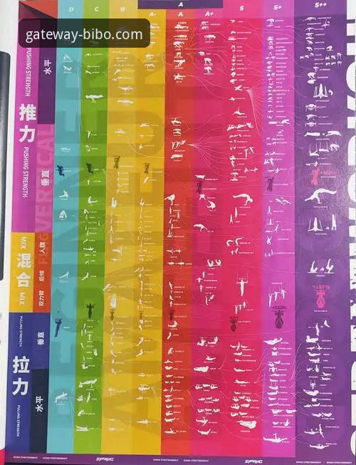 bibo必博快速登录 必博体育平台快速登录与安全使用完整指南